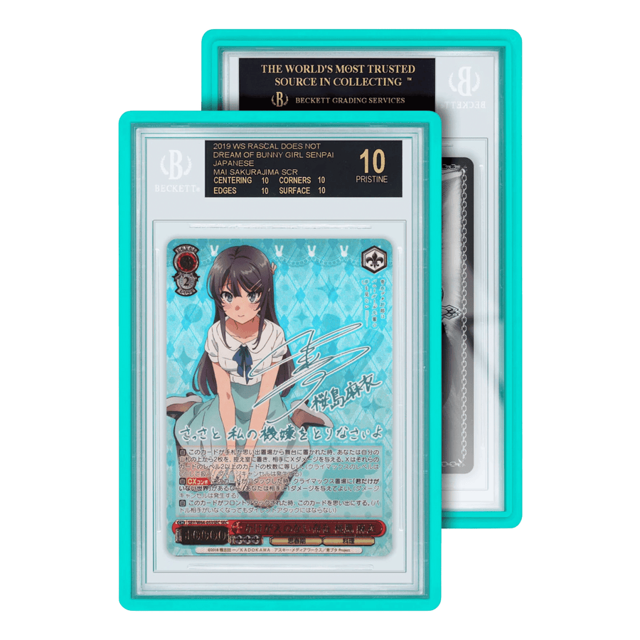 GradedGuard Cases