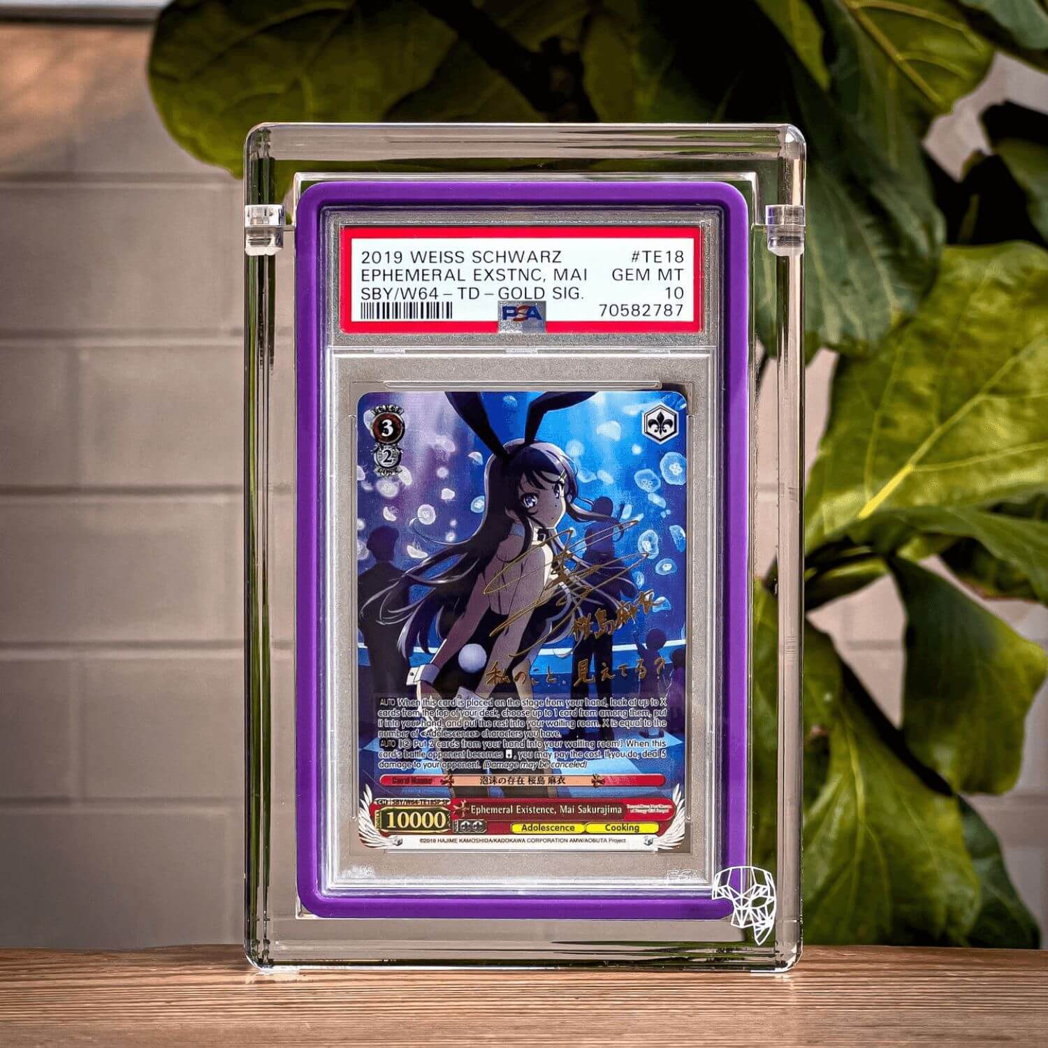 Weiss In Purple GradedGuard Phantom Display Sitting On Table Front View