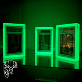 Three Phantom Display ghost-themed, glow-in-the-dark graded card display cases, glowing brightly with a green hue, perfect for showcasing valuable collectible cards in style.