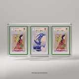 Three trading cards in display cases on a gray background