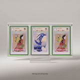 Three trading cards in protective cases on a gray background