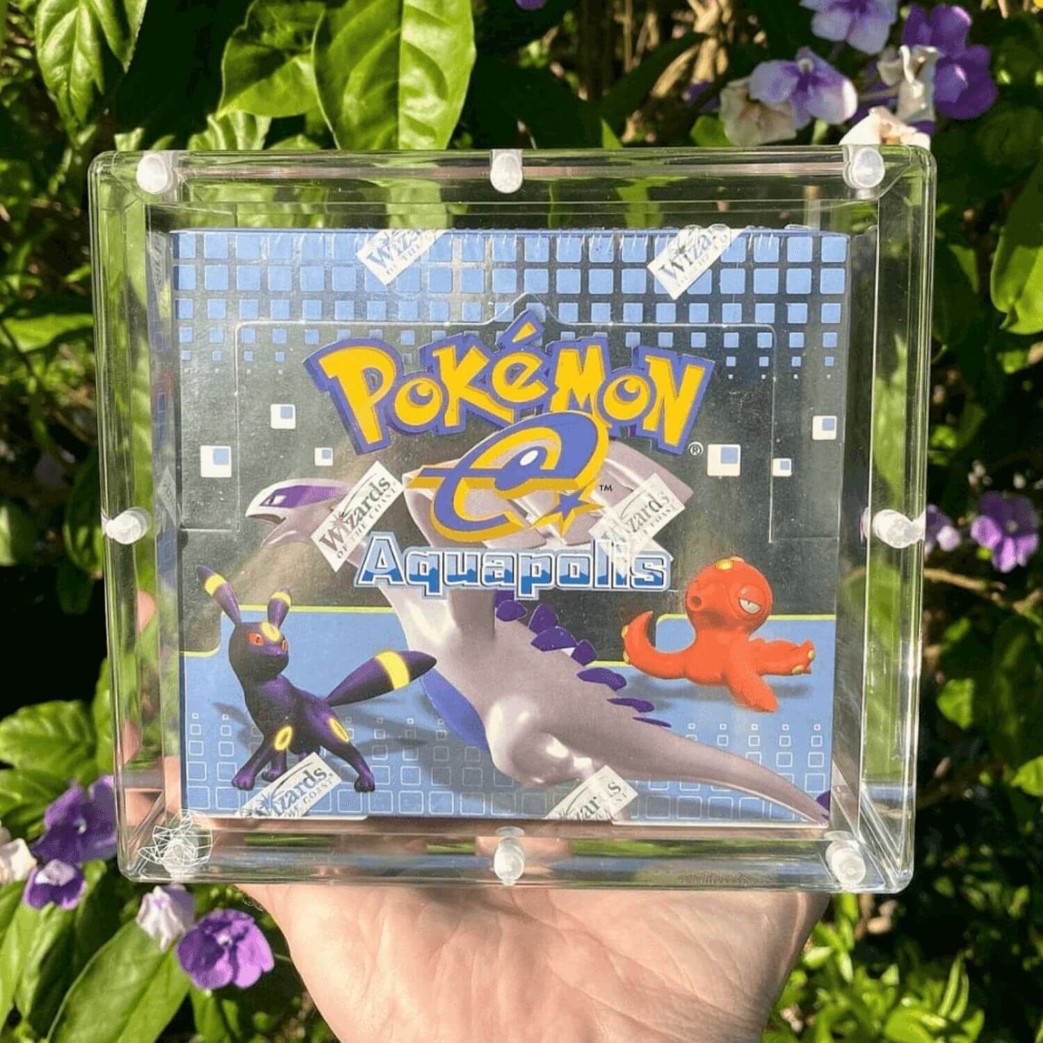 First Appearance Lugia In Phantom Display Held In Hand