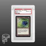 Legacy 1.0